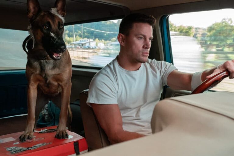 Io e Lulù, recensione del film di e con Channing Tatum