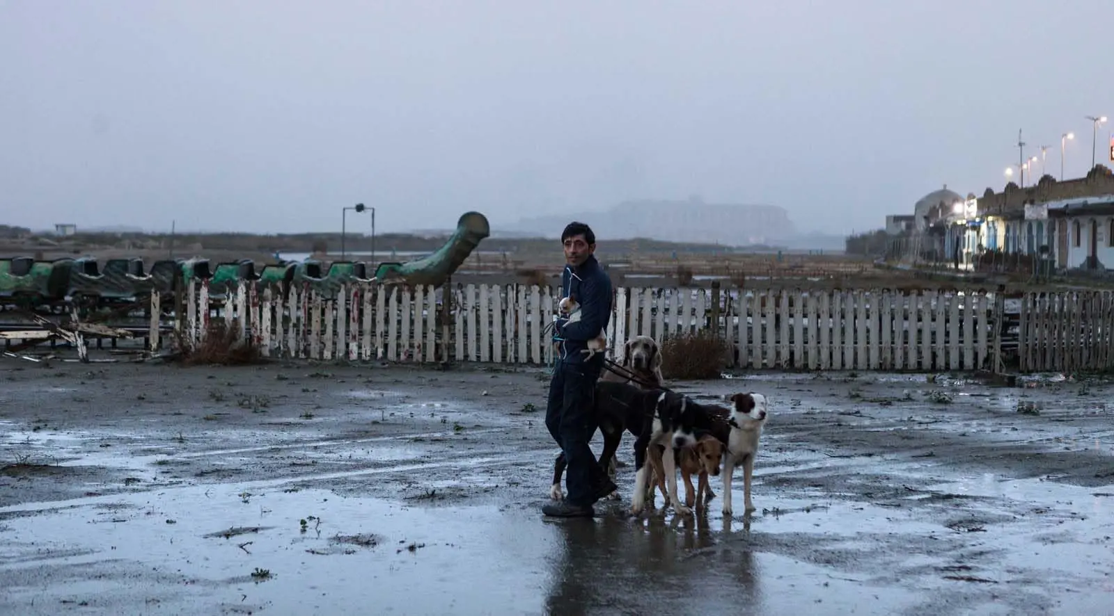 Dogman storia vera film garrone