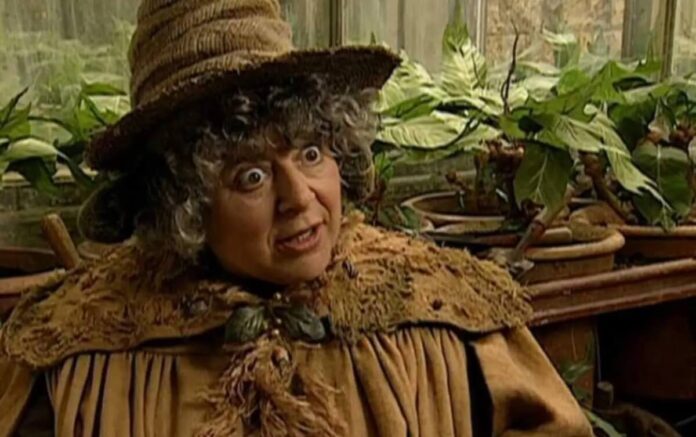 Miriam Margolyes