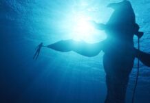 Disney Italia Avatar 2: la via dell'acqua