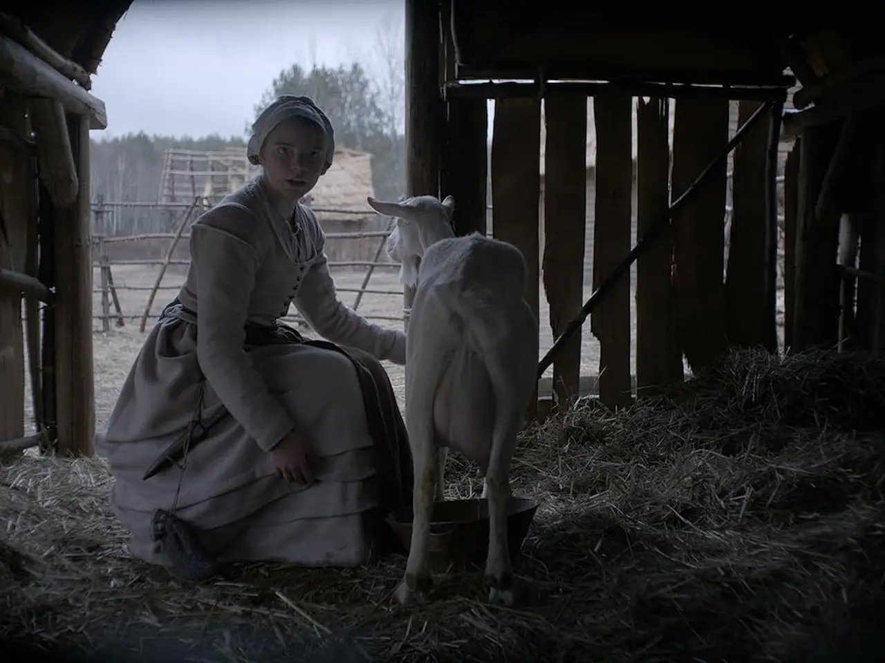 The Witch trama