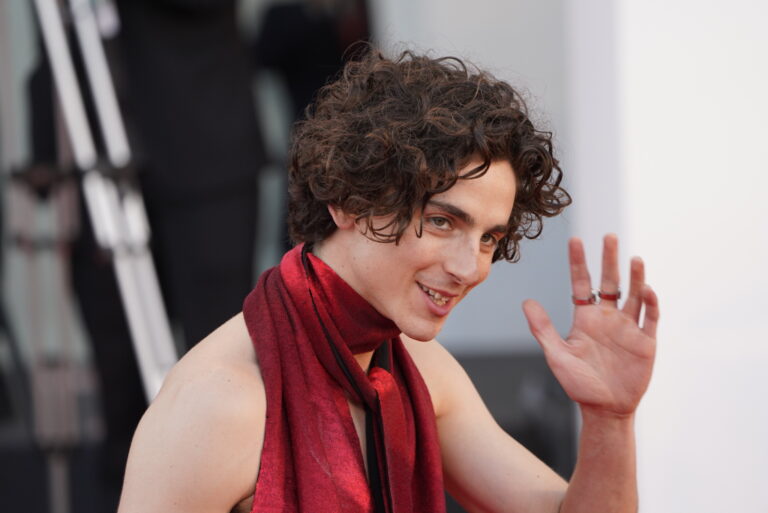 Timothée Chalamet “trasuda carisma” secondo una sua co-star in Wonka