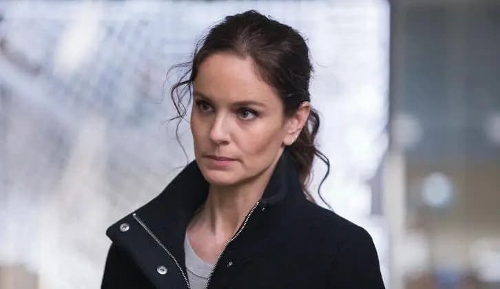 Sarah Wayne Callies serie