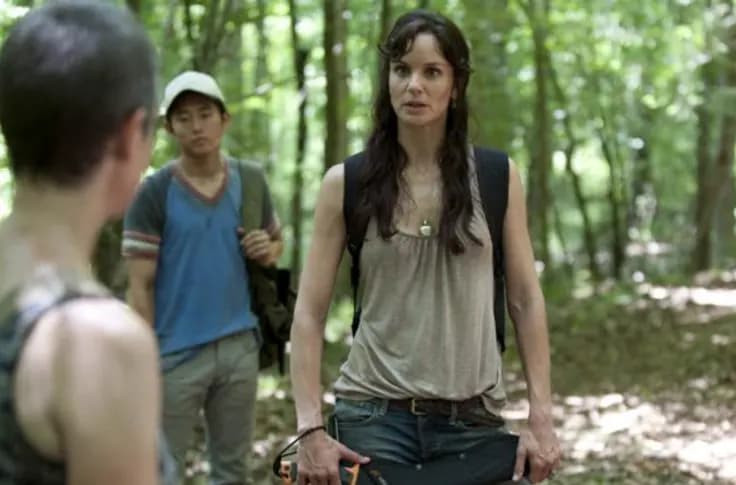 Sarah Wayne Callies the walking dead