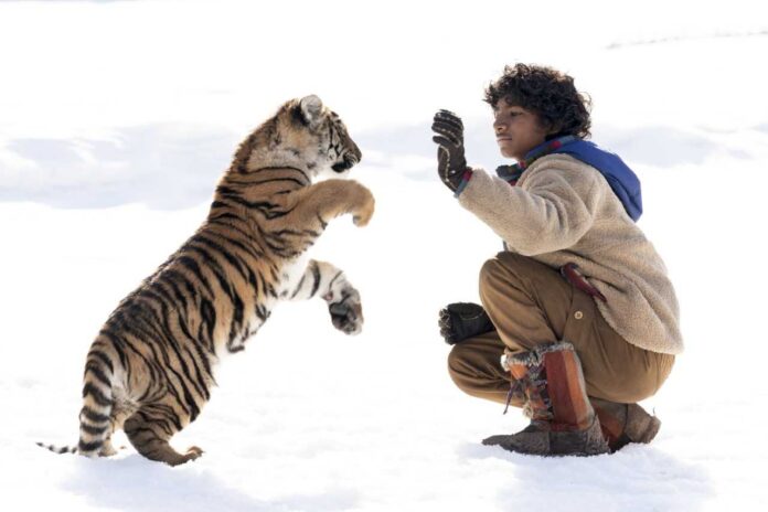 il ragazzo e la tigre