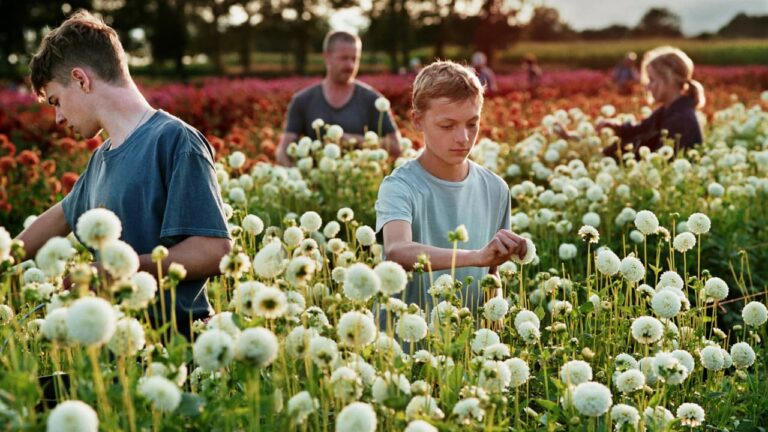 Close: trailer del film di Lukas Dhont