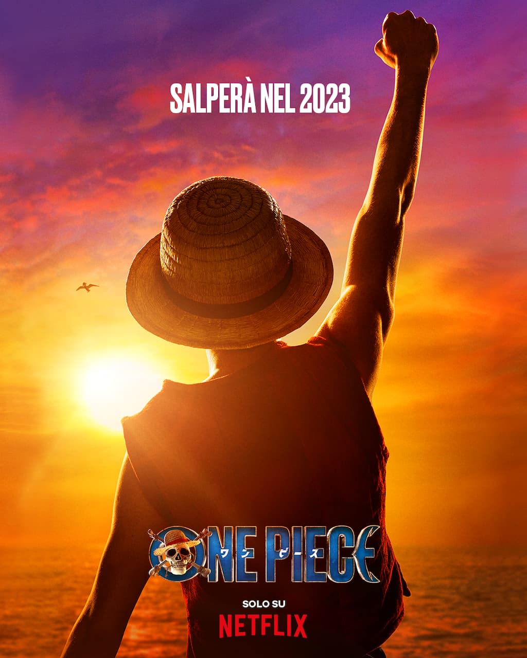 One Piece teaser poster