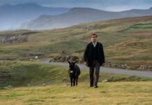 Gli Spiriti dell'Isola recensione film colin farrell