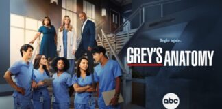 Grey's Anatomy 19