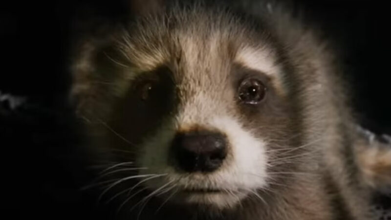 Le origini di Rocket