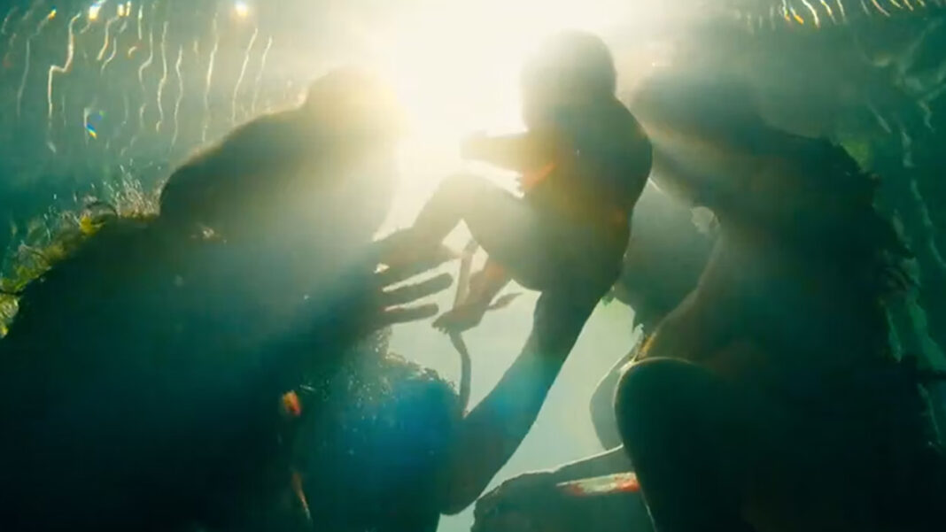 Le origini di Namor