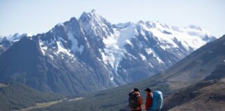 Wild Life: una storia d'amore