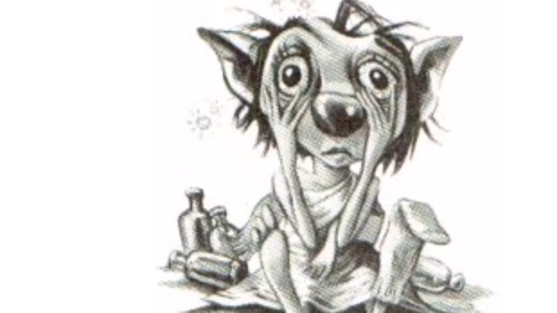 Winky