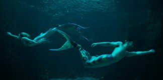 MerPeople recensione docuserie