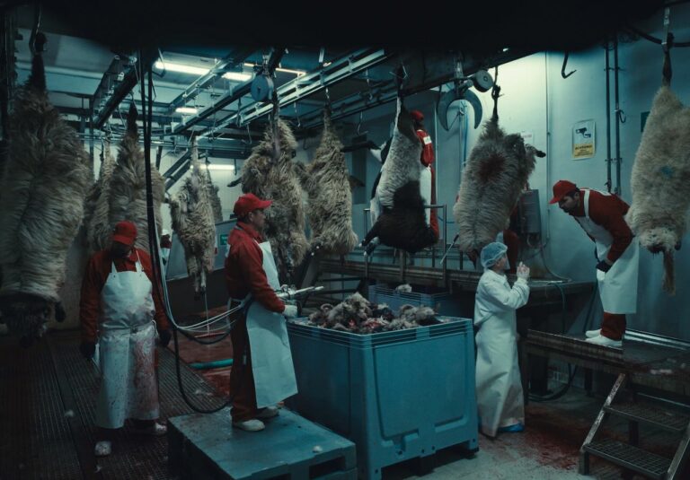 Animali Selvatici, la recensione del film critico e moderno di Cristian Mungiu