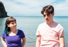 DI4RI recensione
