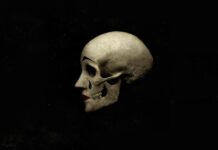 Assassinio a Venezia