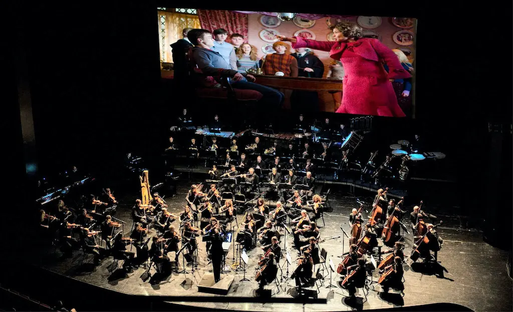 Harry Potter e l'Ordine della Fenice in concerto