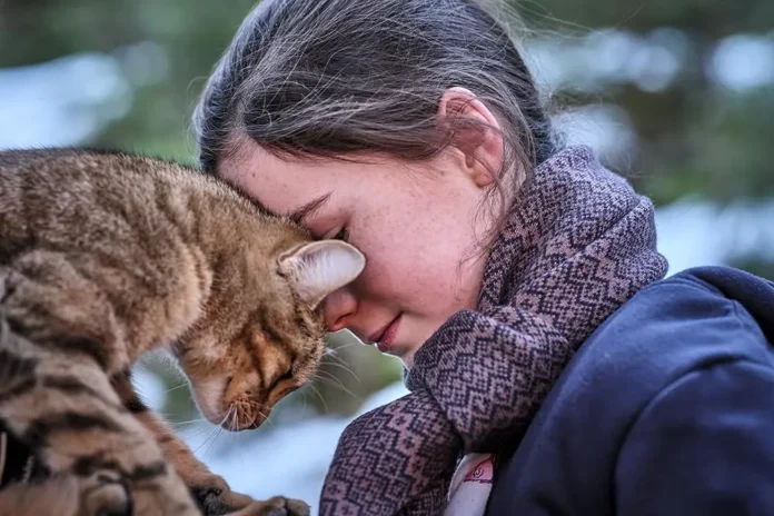 Vita da gatto film 2023