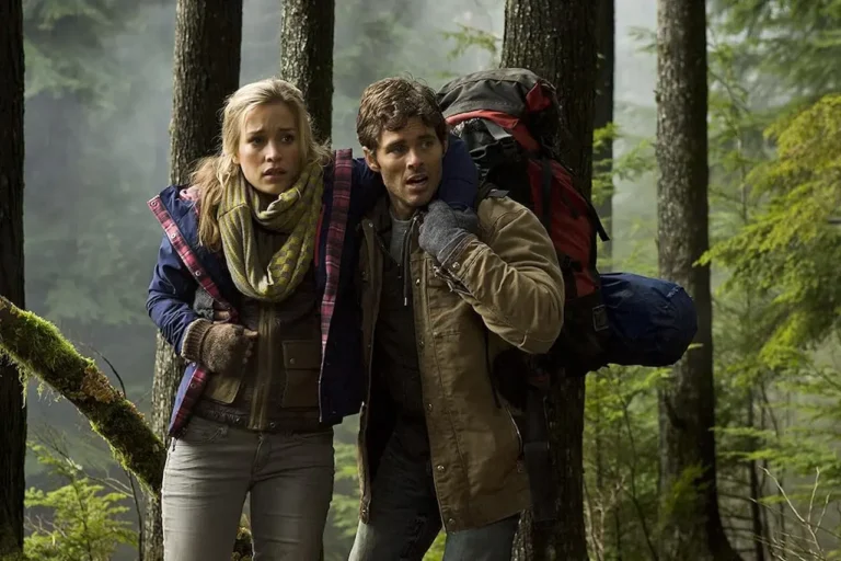 Il labirinto del grizzly: trama, cast e curiosità sul film