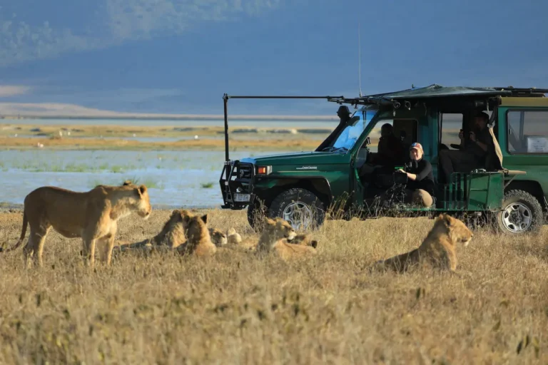 Queens: Le regine della natura, trailer della docuserie