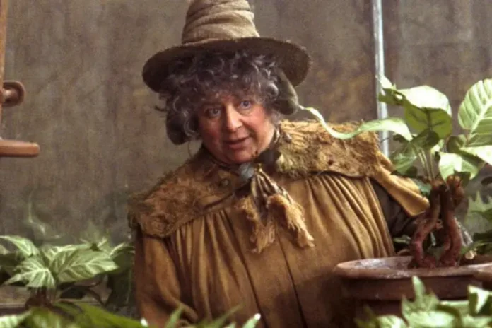 Miriam Margolyes harry potter