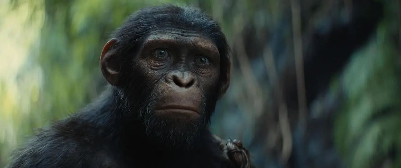 Kingdom of the Planet of the Apes: New epic scenes in the final trailer