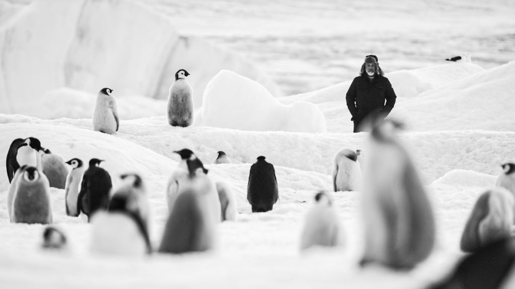 Viaggio al Polo Sud (Antarctica Calling)