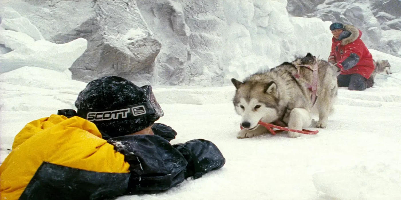8 amici da salvare (Eight Below 2006)