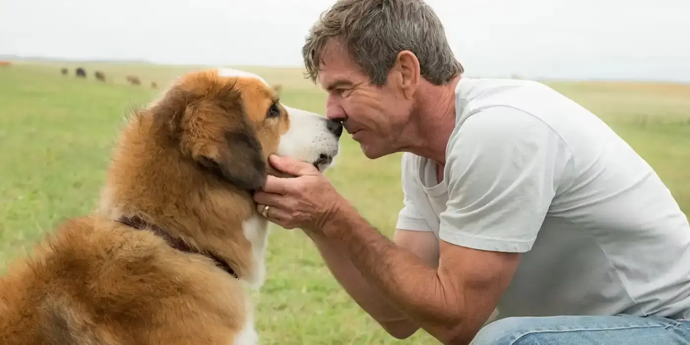 A Dog's Purpose (2017)