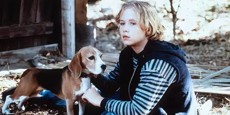 Shiloh, un cucciolo per amico (1996)