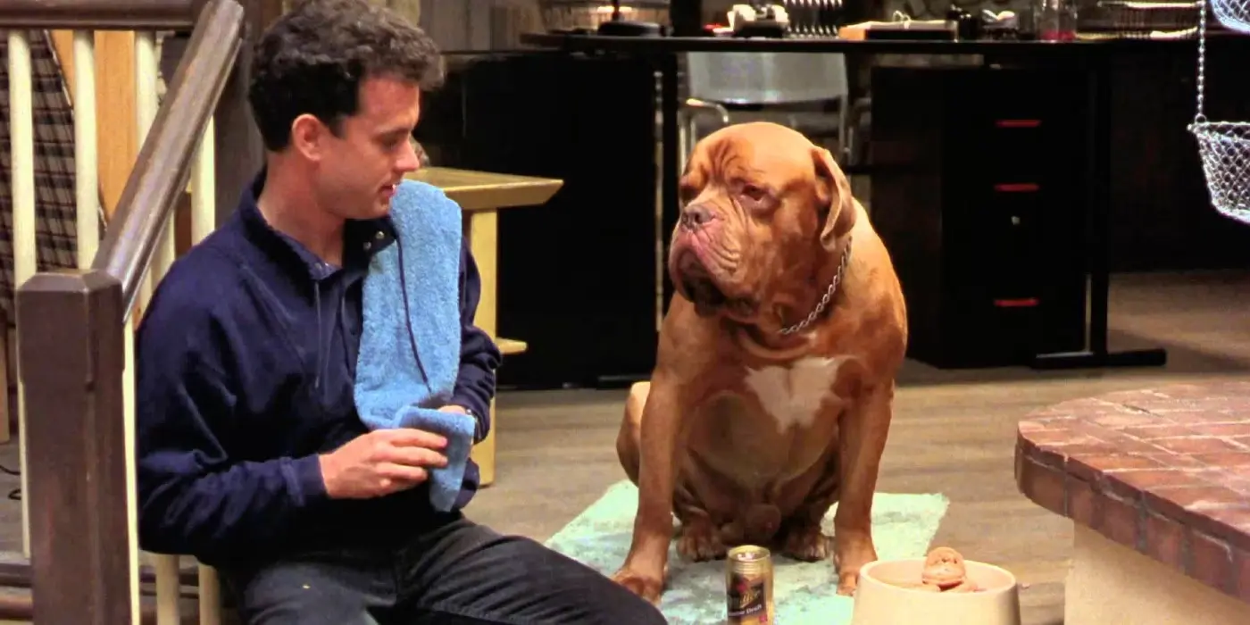 Turner e il casinaro (1989)