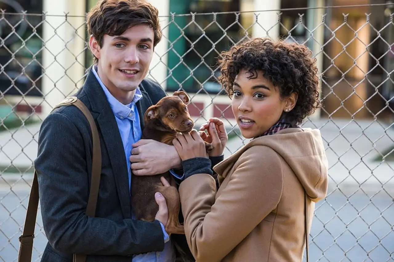 Un viaggio a quattro zampe cast