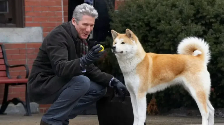 17 film tristi che fanno venire voglia di abbracciare il proprio cane