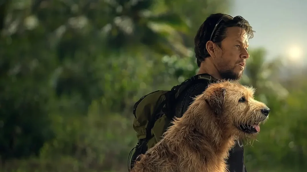 Arthur the King storia vera film con Mark Wahlberg