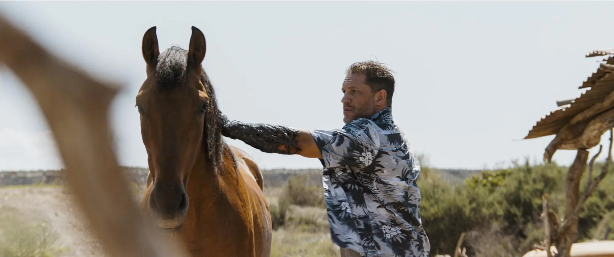 Tom Hardy in Venom- The Last Dance (2024)