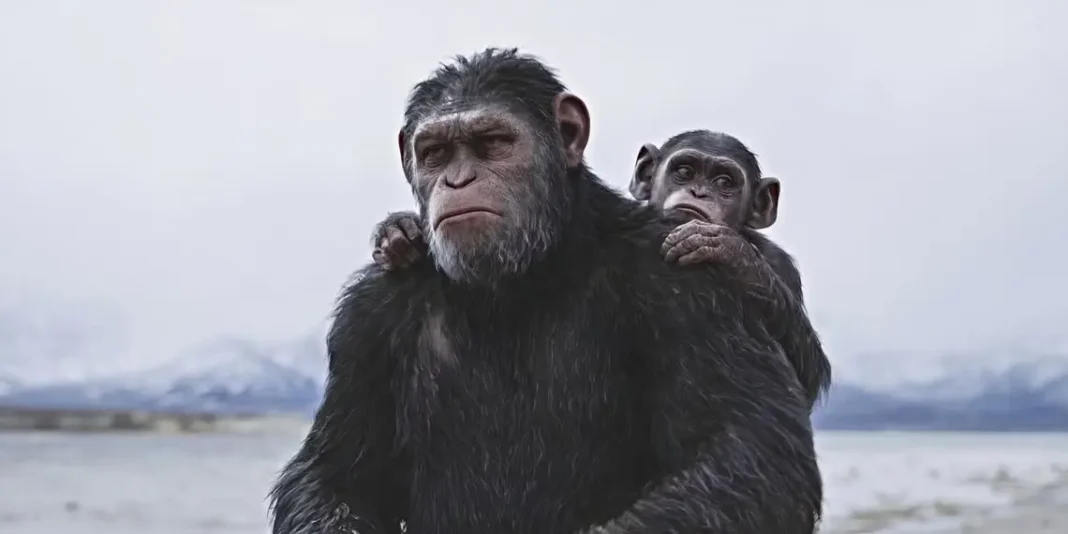 Il Pianeta delle Scimmie sequel