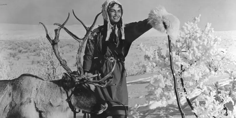 The White Reindeer (1952)