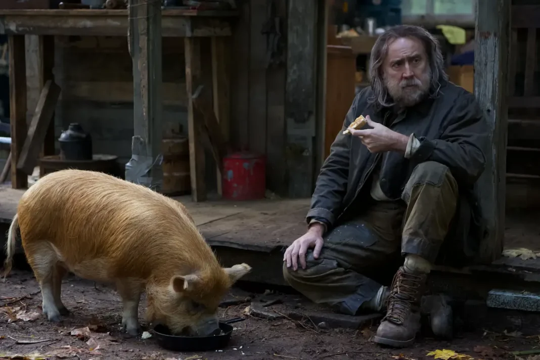Pig nicolas cage