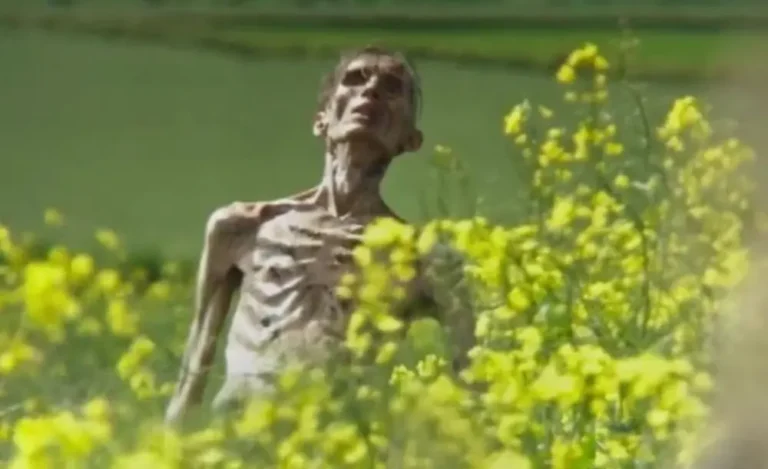 28 anni dopo: il nuovo trailer del film di Danny Boyle