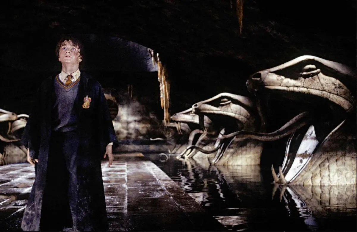 Daniel Radcliffe in Harry Potter e la camera dei segreti finale