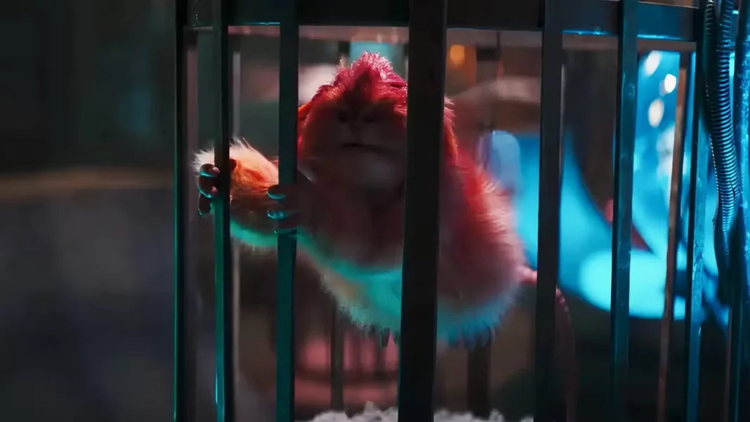 Fuzzball!