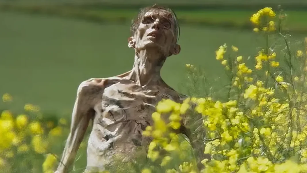 Il trailer mette in dubbio il destino di Jim alla fine di 28 giorni dopo