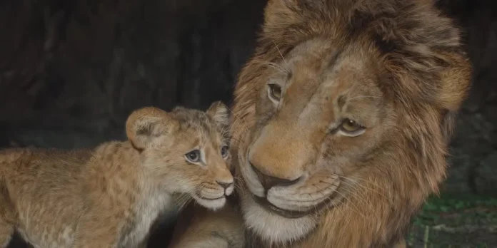 Kiara - Figlia di Simba e Nala
