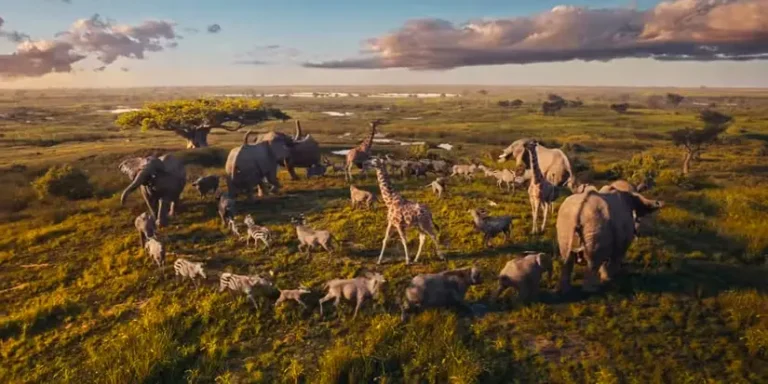 Cos’è Milele? La spiegazione dell’origine delle Terre dell’Orgoglio del Re Leone