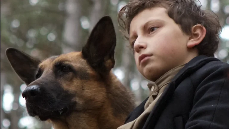 Zack, cane eroe: il film è tratto da una storia vera?