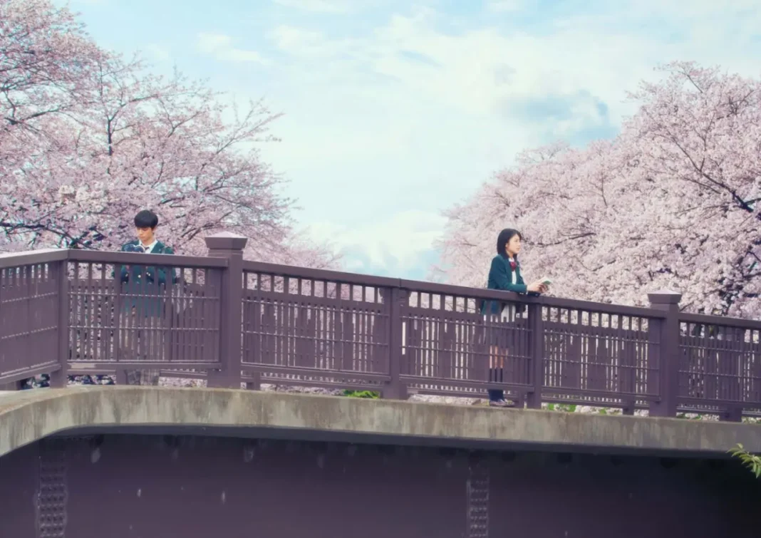 Let Me Eat Your Pancreas (Kimi no Suizō wo Tabetai)