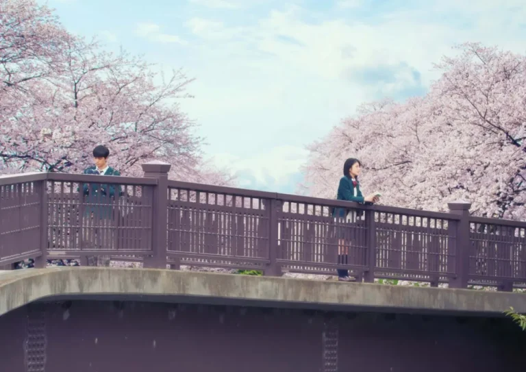 Let Me Eat Your Pancreas (Kimi no Suizō wo Tabetai): il 3, 4 e 5 febbraio al cinema