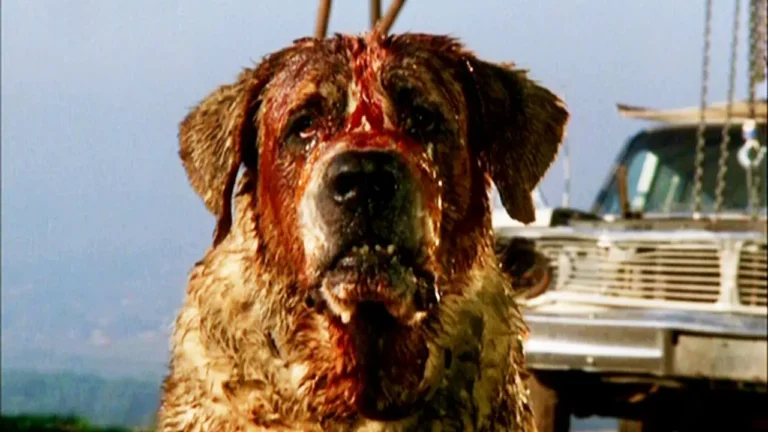 Cujo: Netflix al lavoro su un nuovo adattamento da Stephen King