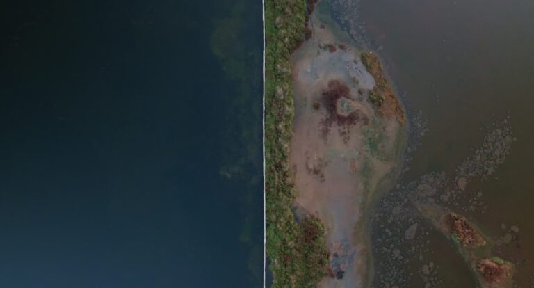 Acqua Benedetta: recensione del documentario di Antonio Petrianni
